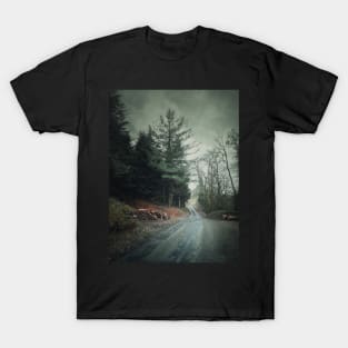 rainy day in the woods T-Shirt